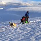 The expedition during the four-day journey along the Garvie Mountains and Old Woman Range