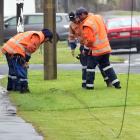Delta workers inspect a high-voltage power line which left scorch marks on the grass when it came down in Tainui yesterday. Photos by Peter McIntosh.