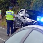 A Dunedin man is arrested following a road rage incident in Portobello Rd yesterday. Photos by Stephen Jaquiery.