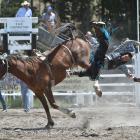 Cowboy Nathan Keown, of Gore, flies off his bronc during the Maniototo Rodeo open bareback division yesterday. Photos by Gregor Richardson.