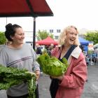 Students Karleigh O’Connor (22, left) and Emma Lunniss (23) check the vegetables at McArthurs Berry Farm Outram’s stall at the Otago Farmers Market. Photos by Linda Robertson.