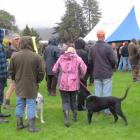A sea of camouflage fills Alexandra's Pioneer Park as shooters wait to be allocated blocks of...