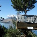 A sly tree hut, constructed in a wilding pine at Arawata Tce,  in Queenstown, pictured last month. Photo: Paul Taylor.