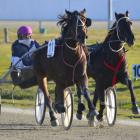 Rory McIlwrick and Mr Majestic fight out an epic home straight dual with Ben Butcher and Dusky Eyre during the last heat of the 2017 New Zealand Junior Drivers Championship at Forbury Park on Saturday. Photos: Jonny Turner
