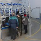 Visitors to the dairy hub inspect the milking shed, which is equipped with the best technologies on the market. Photos: Nicole Sharp