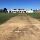 The grass cricket wicket at Brooklands Park in Mosgiel. Photos: Shawn McAvinue