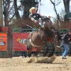 John Hughes, of Fairlie, hangs on tight during the open bareback. Photos: Nicole Sharp