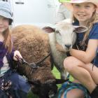 Breana (6) with All Black,  and her sister Isla (9) Smith, of Duntroon, with Licka. Photos:...