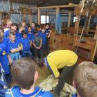 Blair Smith shears a sheep in front of fascinated Papakaio School onlookers. Photos: Supplied