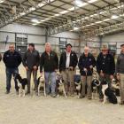 The top seven competitors line up for the run-off of the Southern Indoor Charity Dog Trial. Photos: Nicole Sharp