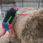 James Robson, of the Teviot Valley Young Farmers Club, gives it his all during the "gut buster'' module. Photo: Ella Stokes