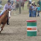Jasmine McLeod, of Chatto Creek, concentrates as she takes part in the local barrel race. Photos:...