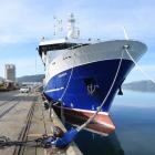 The towering ship takes a break at the Fryatt St wharf. PHOTOS: GREGOR RICHARDSON