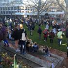 Peaceful protesters gather in the Octagon this afternoon. Photo: Christine O'Connor