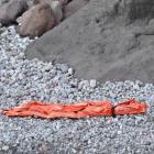 Debris from Gulf Livestock 1 has been found on the Tokara Islands off Japan. PHOTO: SUPPLIED