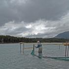 Whitebaiter James Mitchell is one of those who believes making the Haast River a ‘‘whitebait...