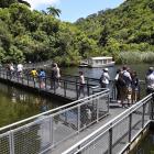 Visitors cross the lower dam on a raised boardwalk.



