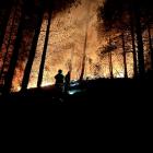 Firefighters turned out from Waihola to Waikouaiti to battle a fire in a forestry block near...