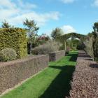 Green totara and Corokia Frosted Chocolate provide contrasting hedge colours. PHOTOS: GILLIAN VINE