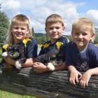 The Percival brothers (from left) Angus (8), Henry (6) and Oscar (4), of Waitahuna, hold...