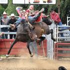 Rex Church from Kaitaia gives his all in the Bareback category. PHOTOS: STEPHEN JAQUIERY