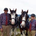 Horse ploughing competitors John Booth and Paule Crawford, both of Ashburton, with Clydesdale...