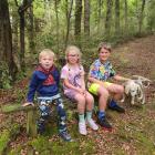 Finn McConnell, 2, Luca Baldwin, 5, and Alex McConnel, 8, take a rest on a bush walk at Piano...