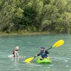 A boy and his dog ... Casey Ellerbroek, 5, tows Max on Lake Ruataniwha, near Twizel, on January 2...