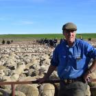 Lammermoor Station owner John Elliot, of Styx Valley, leans on a pen of nearly 200 of his...