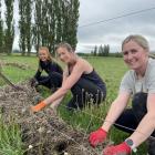 FMG staff (from left) Tash Falconer, Ange Thomason and Rebecca Thompson are happy in their work...