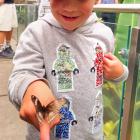 Enchanted ... Alexi Theodoulou, 5, admires the butterfly on his finger at Tuhura Otago Museum on...