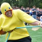 Arana College resident Garrett Amyes, 18, pulls as hard as he can during a tug-of-war yesterday....
