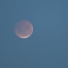 Return of the moon (Izumi S.U.)