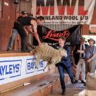 Runaway sheep by Nel Davison was the print section winner in this year's Ashburton Photographic...