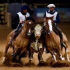 Participants ride Criollo horses as they compete in the Freio de Ouro, Brazil's main competition...