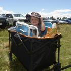 Young Australian visitor Wilbour Lacey gets a ride to the racetrack.