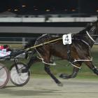 Expresso Martini can overcome an awkward draw at Forbury Park tonight. Photo by Matt Smith.