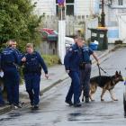 Police and a dog unit prepare to enter a Cornhill St property, in Northeast Valley, yesterday....