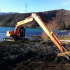 An excavator dumps weeds raked out of Lake Dunstan on Friday. Photo supplied.
