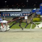 Mossdale Sue in winning form at Forbury Park last night, courtesy of a patient drive from Shane...