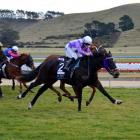 Miss Three Stars, in the hands of jockey Samantha Wynne, gallops past Amun Ra to win the $30,000...