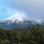 Mt Taranaki makes a quick appearance from behind the clouds as we walked along the Kaiauai Track....