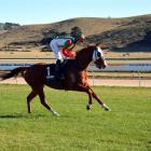 News Flash and jockey Jake Lowry are entering a new phase at Timaru today when they take on the...