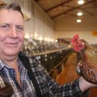 Australian judge Keith Waugh displays  the best hard feather fowl winner at the Oamaru Poultry,...