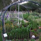 A well-filled vegetable garden makes efficient use of ground and has a few flowers for variety.