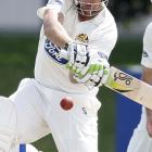 200912_Cricket_75567.jpeg