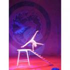 9-year-old Yue Peng from China stole the show with his one hand balancing act and received the...