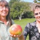 An apple a day: Helen Hillis (holding a Peasgood Nonsuch apple) grows as much of her own produce as she can and will share her experiences of living