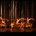 Scene from Abhisheka. Photos by Maarten Holl.