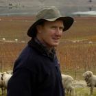 Tom Pinckney in his Northburn Station merino ram paddock, with his pinot noir vines behind.Photo...